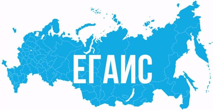 система егаис