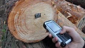 Маркировка RFID-метками ценных пород деревьев