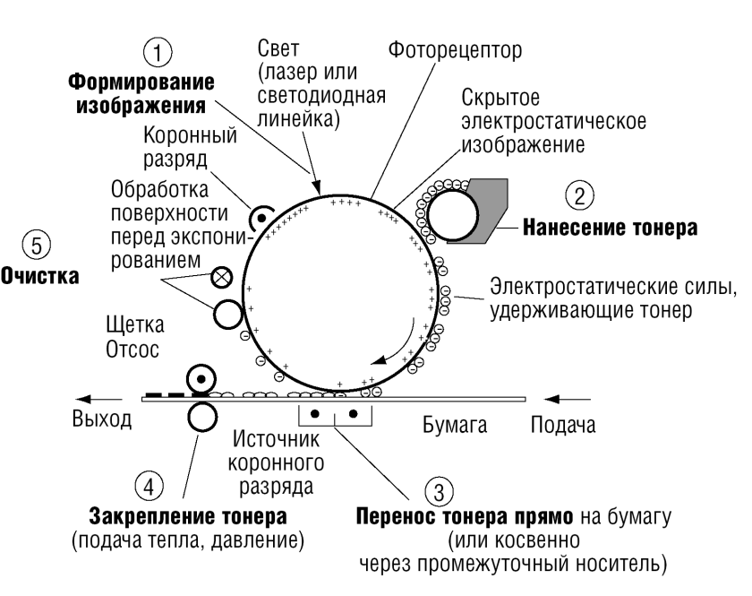 Технология электрографической печати