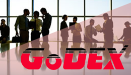 О компании Godex