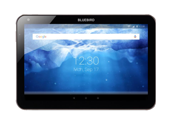 Терминал сбора данных Bluebird ST103