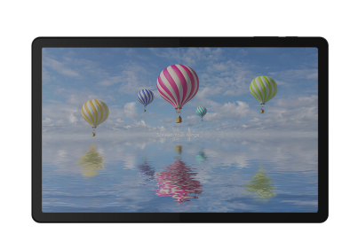 Терминал сбора данных Bluebird T10