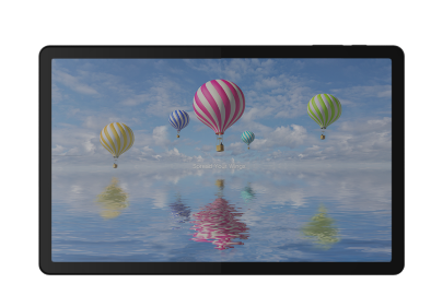 Терминал сбора данных Bluebird T10