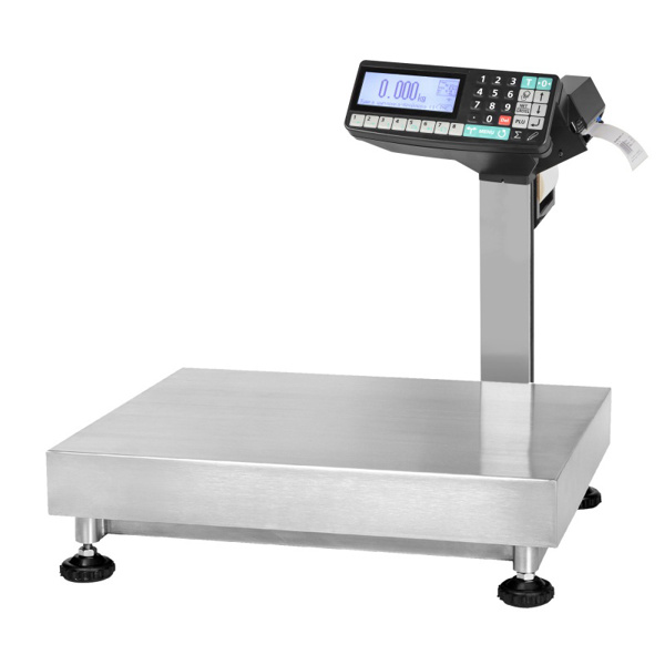 Весы напольные с печатью этикеток МАССА-К TB-5040N-200.2-RP3n MK10994