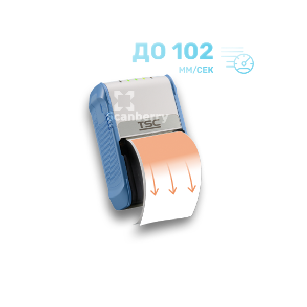 Принтер этикеток TSC 99-062A006-0202