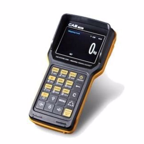 Весы крановые CAS Caston III 3 THD с RF