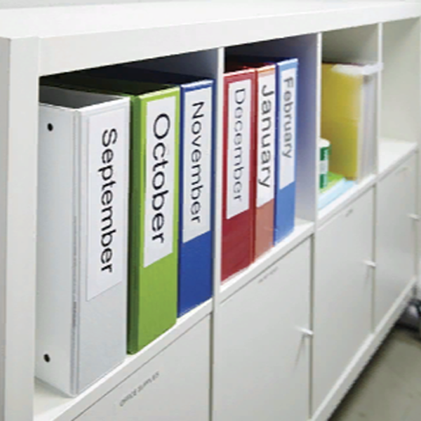 Самоклеящаяся термоэтикетка для принтеров Dymo Label Writer, на корешок папки-регистратора, 190 мм x 59 мм, 110 шт/рулон (DYMO99019)