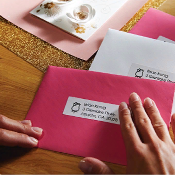 Самоклеящиеся этикетки Dymo адресные для принтеров Label Writer 4XL, белые, 89 мм x 28 мм, 1050 шт, 2 рулона (S0947410)