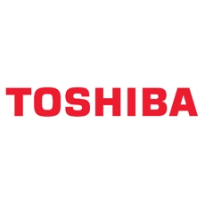 Печатающая головка Toshiba, 305 dpi для B-SA4TP/B-SA4TM 7FM08051100CH