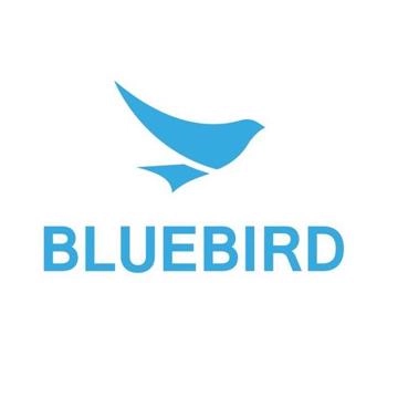 Крепление на руку для Bluebird EF501 (BB210120002) - фото