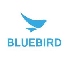 Сменный ремешок 26 см для Bluebird EF501 (BB511010005)