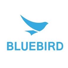 Сменный ремешок 33 см для Bluebird EF501 (BB511010006)