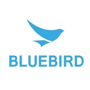 Сменный ремешок 33 см для Bluebird EF501 (BB511010006) - фото