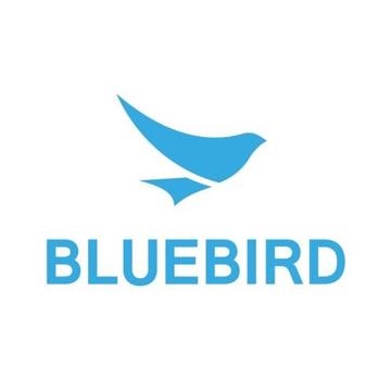 Сменный ремешок для Bluebird EF501 (BB357060001) - фото