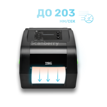 Принтер этикеток TSC TH240-A001-1002 - фото