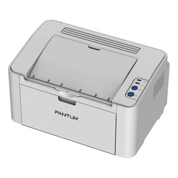 Лазерный принтер Pantum P2200 1000312767 - фото 2