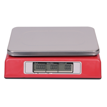 Весы электронные DP242 - фото 2