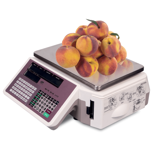 Весы электронные DP Wasp B с печатью этикеток DP500