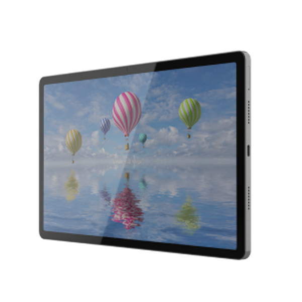 ТСД Терминал сбора данных Bluebird T10-A4LAW