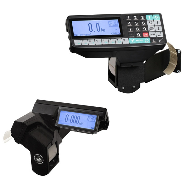 Весы напольные с печатью этикеток МАССА-К TB-5040N-32.2-R2P3 ЕР-00500968
