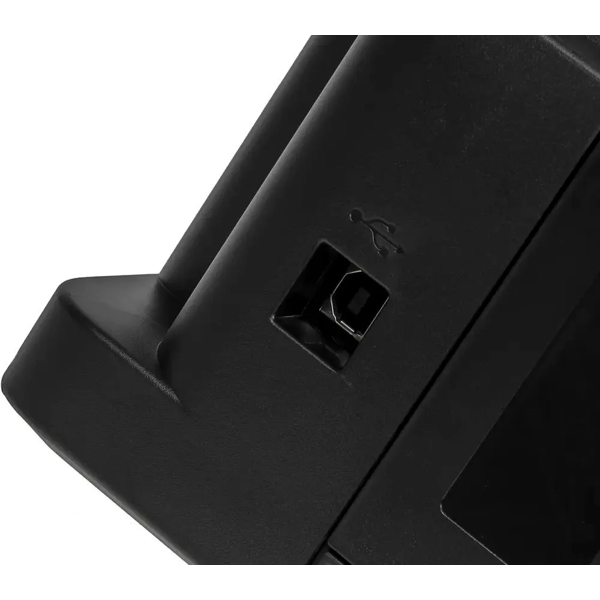 МФУ струйный Canon 2313C025