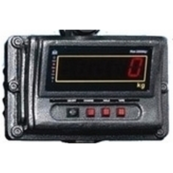 Весы крановые МАССА-К ЕК-А-1 00-00200109