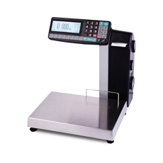 Весы с принтером печати МАССА-К MK-6.2-RL-10-1 MK58006
