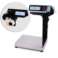 Весы с принтером печати МАССА-К МК- 6.2-R2P-10-1 MK20952