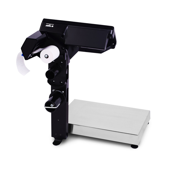 Весы с принтером печати МАССА-К МК- 6.2-RP-10-1 00-00020932