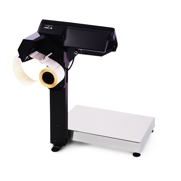 Весы с принтером печати МАССА-К МК-15.2-RP-10 00-00020923