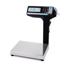 Весы с принтером печати МАССА-К МК-15.2-RP-10-1 MK20933