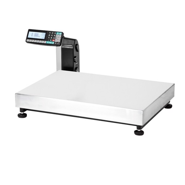 Весы напольные с печатью этикеток МАССА-К TB-M-150.2-RL1 MK10097