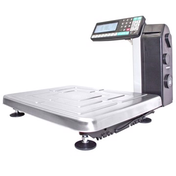 Весы напольные с печатью этикеток МАССА-К TB-S-200.2-RL1 MK10094 - фото